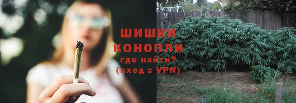 mdma Заводоуковск