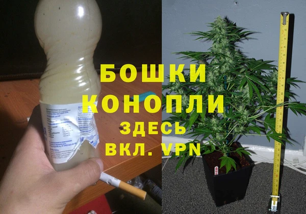 mdma Заводоуковск