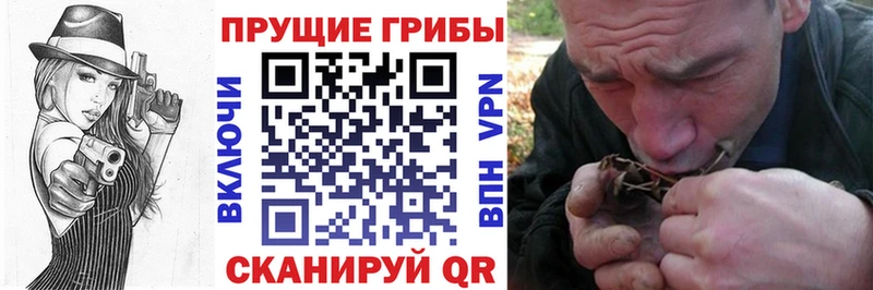 Купить где  Павлово  Псилоцибиновые грибы мухоморы 